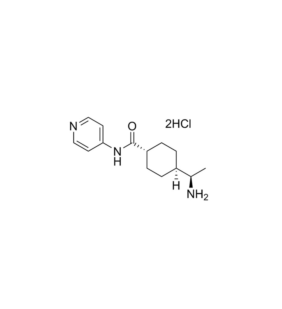 Y-27632 (2HCl), 1 mg