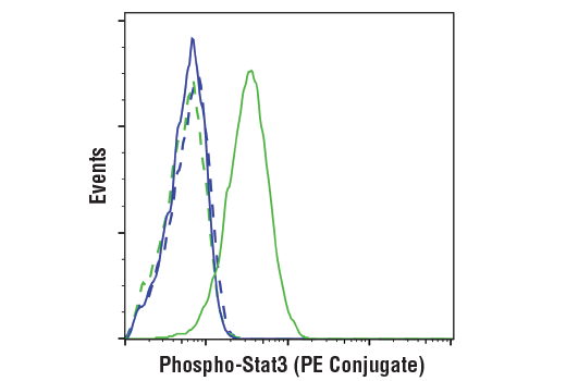 Phospho-Stat3 (Tyr705) (D3A7) XP Rabbit mAb (PE Conjugate)
