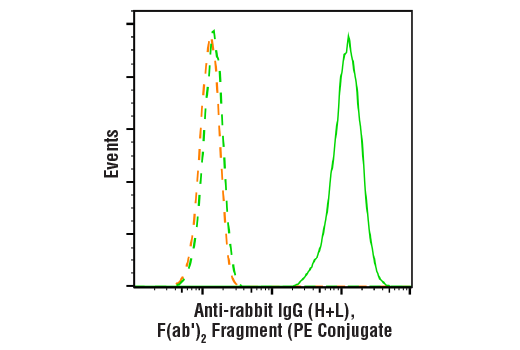 Anti-rabbit IgG (H+L) F(ab')&lt;sub&gt;2&lt;/sub&gt; Fragment (PE Conjugate)