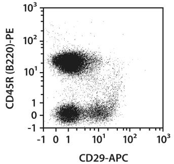 CD29-APC, rat, mouse, REA1074, 100 tests