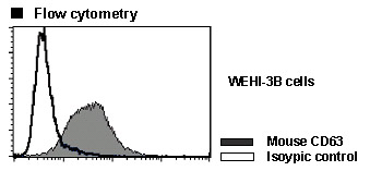 Anti-CD63 (LAMP-3) (Mouse) mAb