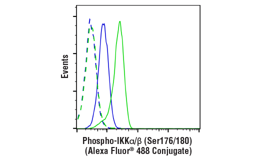 Phospho-IKKalpha/beta (Ser176/180) (16A6) Rabbit mAb (Alexa Fluor 488 Conjugate)