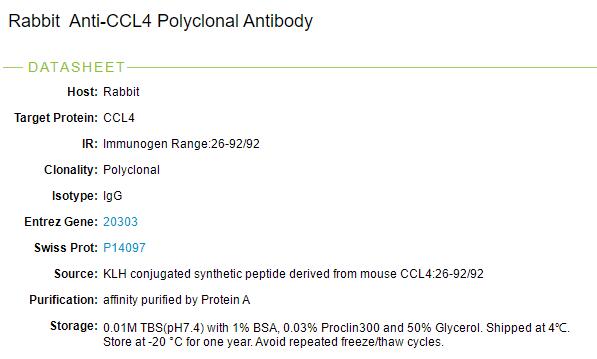 巨噬细胞炎性蛋白1b抗体