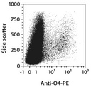 Anti-O4-PE, h, m, r, REA576, 100 tests